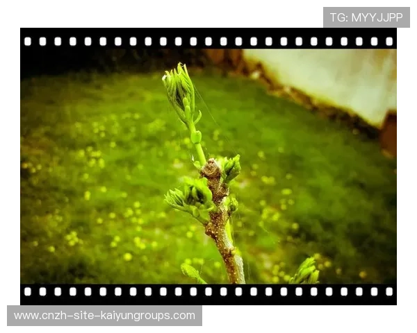 ÃÓÐÁ+±-»¦+¦+++-=Â¤ú¼+¦+¦¦+¦ñ-À¥Â¦+ÍÏ¦¦